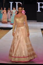 Model walk the ramp for Neeta Lulla Show at IRFW 2012 Day 2 in Goa on 29th Nov 2012 (43).JPG
